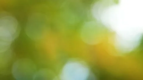 Autumn bokeh background Vídeos de archivo 161232215