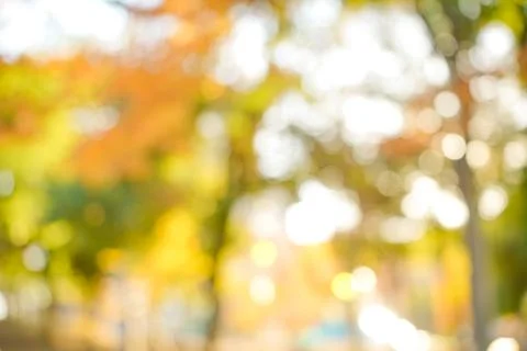 Autumn Bokeh Background Stock Photos