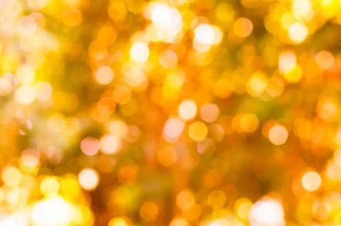Autumn boken leaf blurry Stock Photos