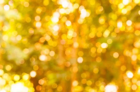 Autumn boken leaf blurry Stock Photos