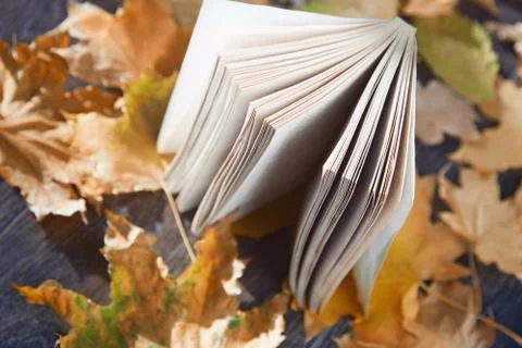 Autumn book Stock Photos