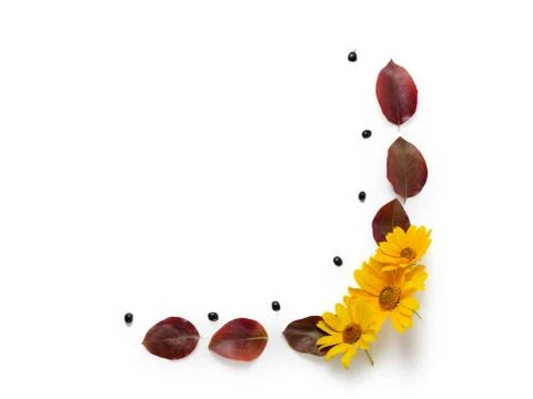 Autumn border. Composition of vibrant red and yellow leaves on a white Stock Photos