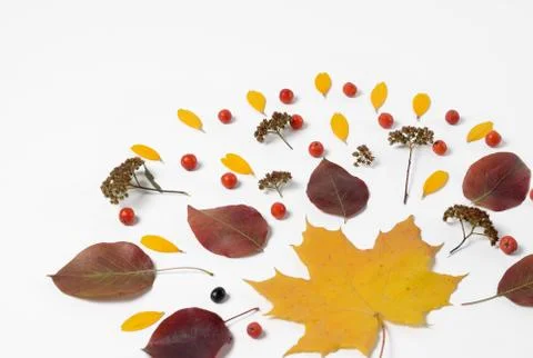 Autumn border. Composition of vibrant red and yellow leaves on a white Stock Photos