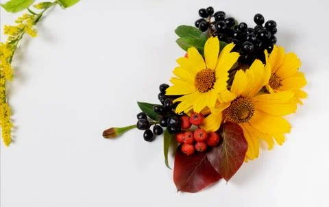 Autumn border. Composition of vibrant red and yellow leaves on a white Stock Photos