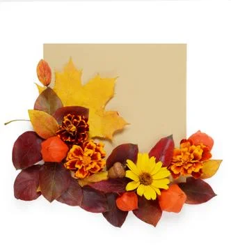Autumn border. Creative Composition of vibrant red and yellow leaves and card Stock Photos