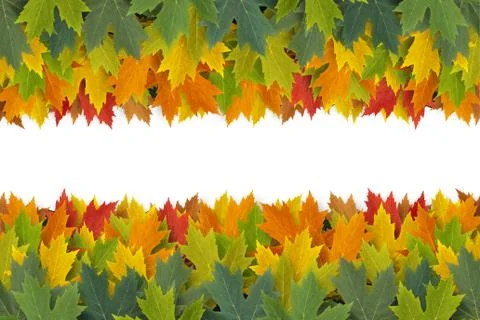 Autumn border design Иллюстрация