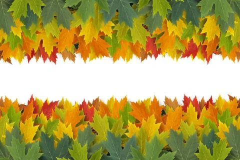 Autumn Border Design Stock Photos