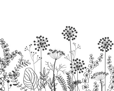Autumn border with doodle forest and meadow plants. Hand drawn floral backg.. イラスト素材