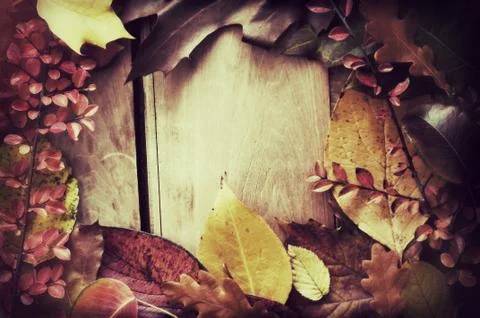 Autumn border Stock Photos