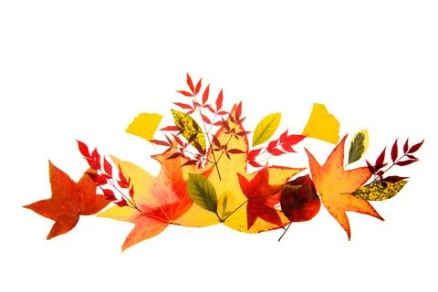 Autumn borders and frames for design banners, leaflets, posters with space for Stock Photos