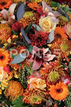 Autumn bouquet Stock Photos