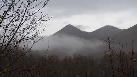 Autumn, the branch of a tree with drops of rain and yellow leaves. Clouds Stock Footage 82698460