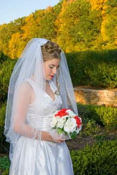 Autumn Bride looking down at her bouquet at the park. 写真素材