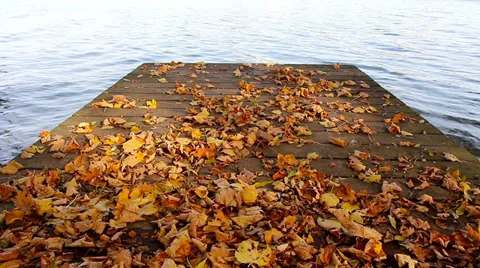 Autumn bridge HD Stock Footage 32344949