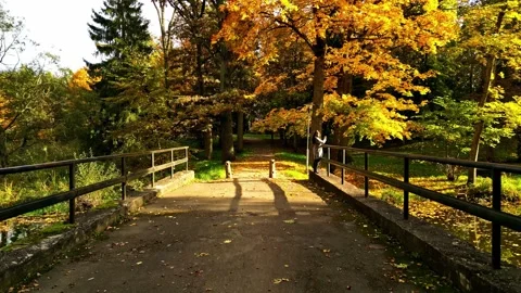 Autumn bridge over stream Vídeo Stock 331204830