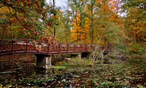 Autumn Bridge Stock Photos