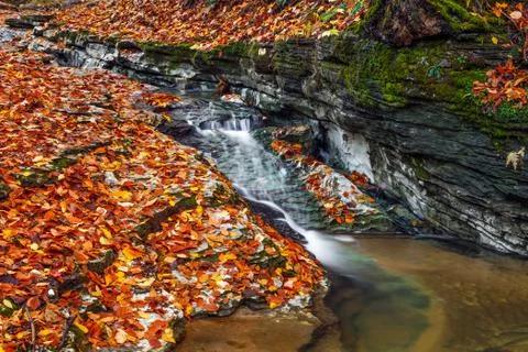 Autumn Brook Foto stock