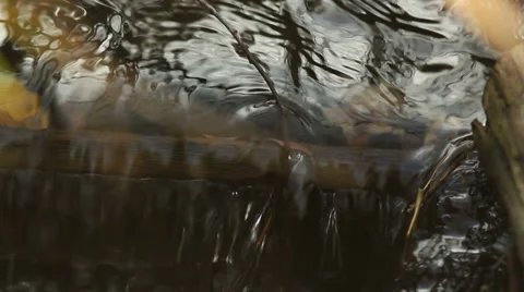 Autumn brook timelapse Stock Footage 33415422