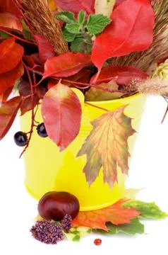 Autumn Bunch Stock Photos