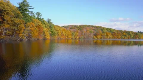 Autumn canada Stock Footage 244220821