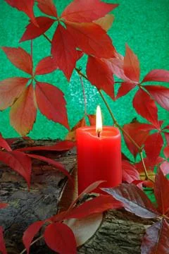 Autumn candle Stock Photos