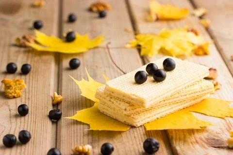 Autumn candy bar. Stock Photos