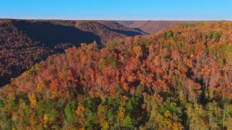 Autumn Canopy: Aerial View of Deep Valley with Sunlit and Shaded Fall Foliage Video stock 320625931