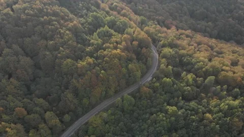 Autumn Car Passes Through Trees Drone Footage Stock Footage 141249988