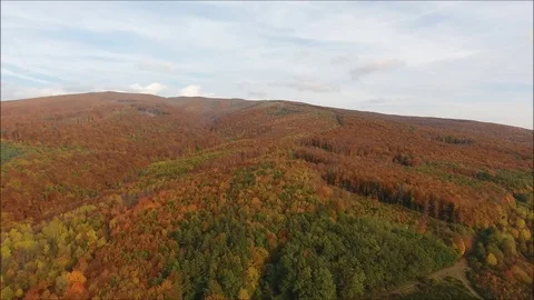 Autumn in Carpathian Stock Footage