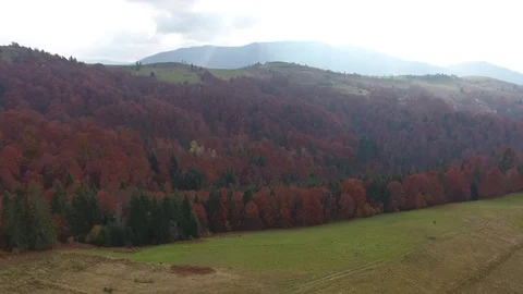 Autumn Carpathians Stock Footage 122386812