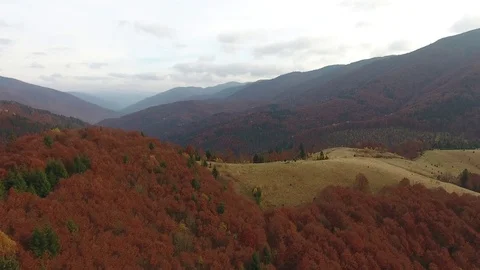 Autumn Carpathians Stock Footage 122386899