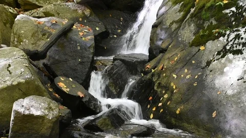 Autumn Cascade Stock Footage 101619318