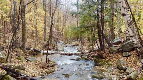 Autumn Cascading River Stock Footage 277611292