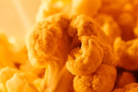 Autumn cauliflower texture Stock Photos