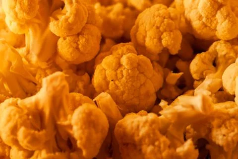 Autumn cauliflower texture Stock Photos
