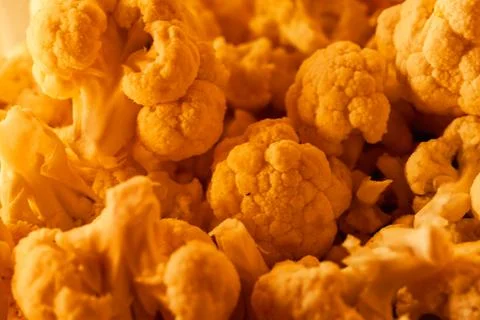 Autumn cauliflower texture Stock Photos