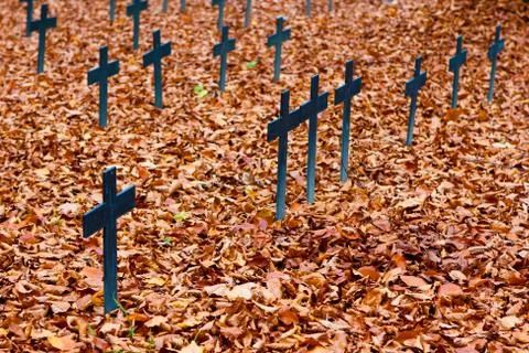 Autumn cemetery crosses Stock Photos