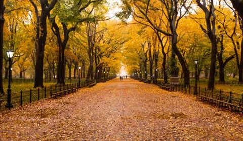 Autumn in Central Park Stock Photos