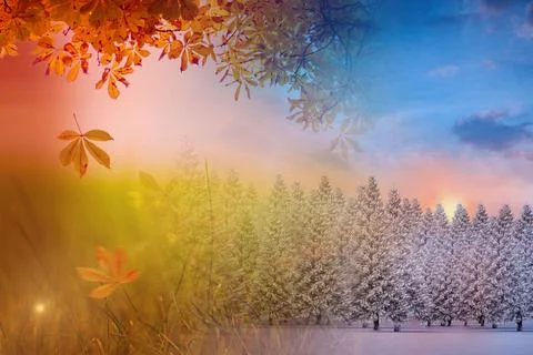 Autumn changing to winter Stock Illustration
