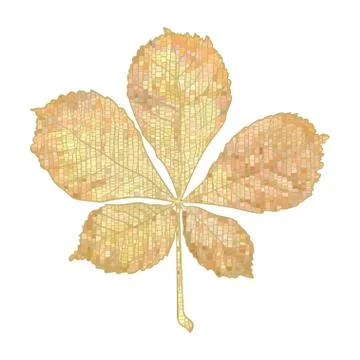 Autumn chestnut leaf. Stock Illustration