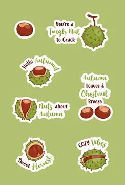 Autumn Chestnut Sticker Sheet Pack. Whole, Open and Cracked Brown Nuts In S.. Stock Illustration