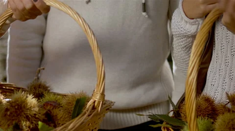 Autumn chestnuts in the basket. Video stock 62473052