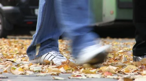 Autumn city 2 스톡 동영상 10911955