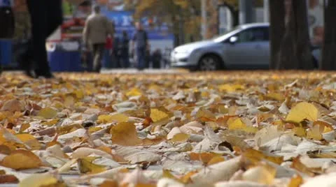 Autumn city Vídeo Stock 10911963