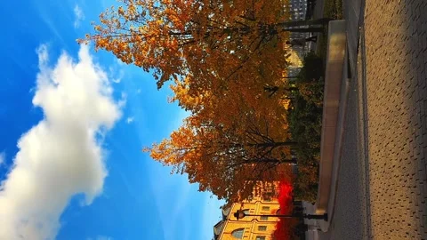 Autumn in the city Video stock 220868026