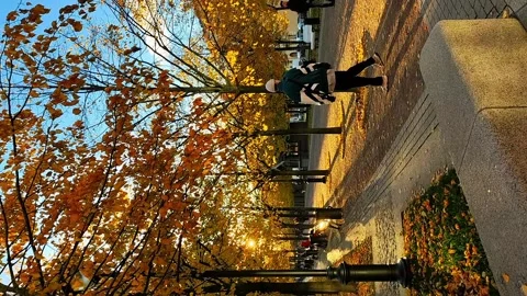 Autumn in the city Video stock 220868035