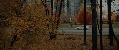 Autumn city Stock Footage 289734364