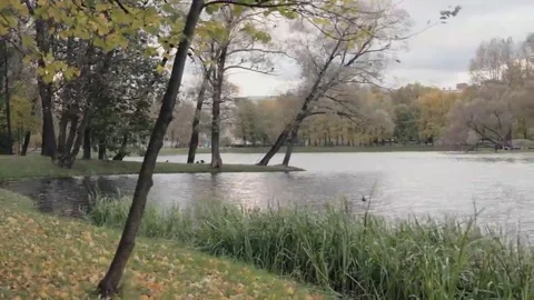 Autumn in the city park Vidéo 69183375