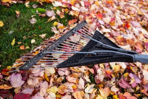 Autumn clean up Stock Photos