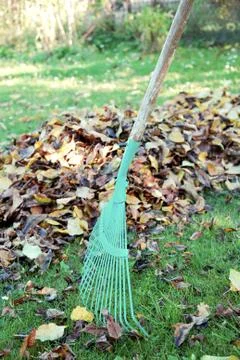 Autumn cleaning 스톡 사진